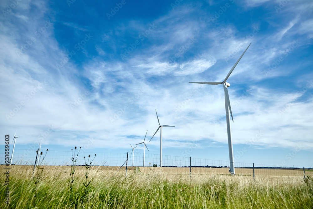 油田中部的工业风力涡轮机。可再生能源。生态能源控制