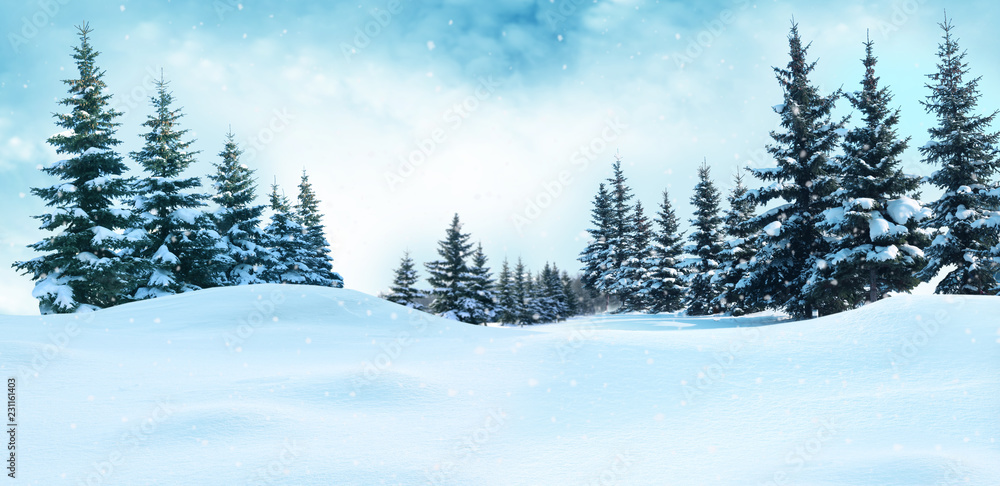 美丽的冬季景观，白雪覆盖的树木。圣诞背景