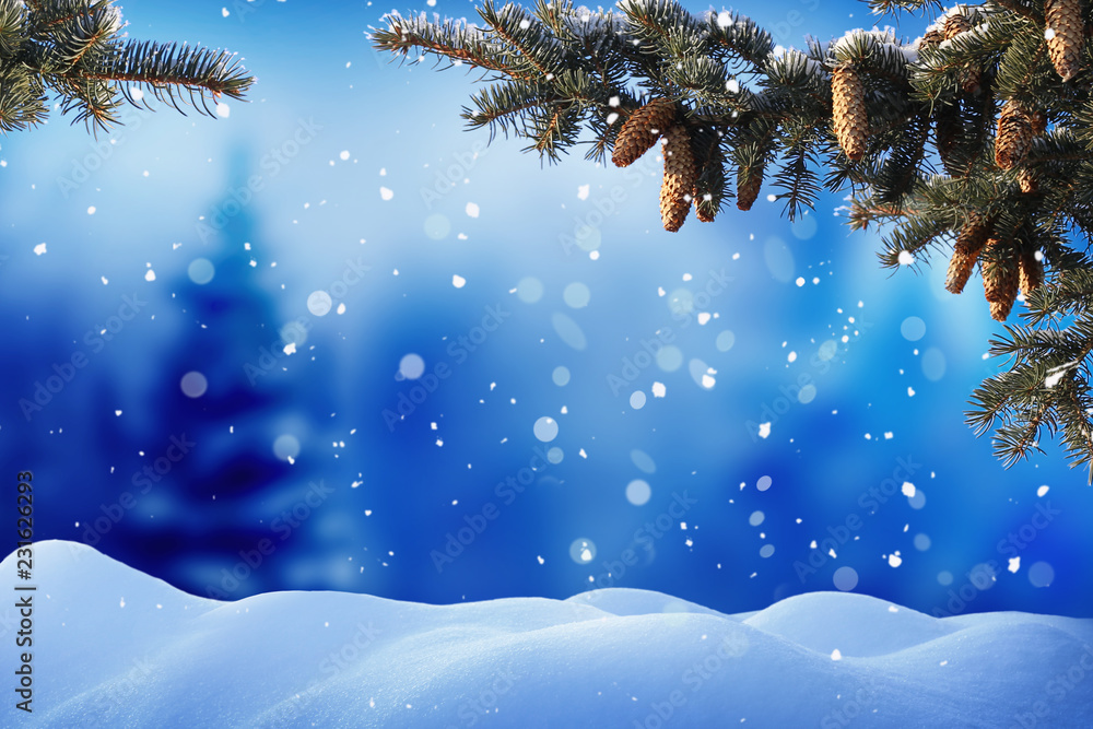 冬季雪景。圣诞背景是冷杉树枝和松果。圣诞快乐。