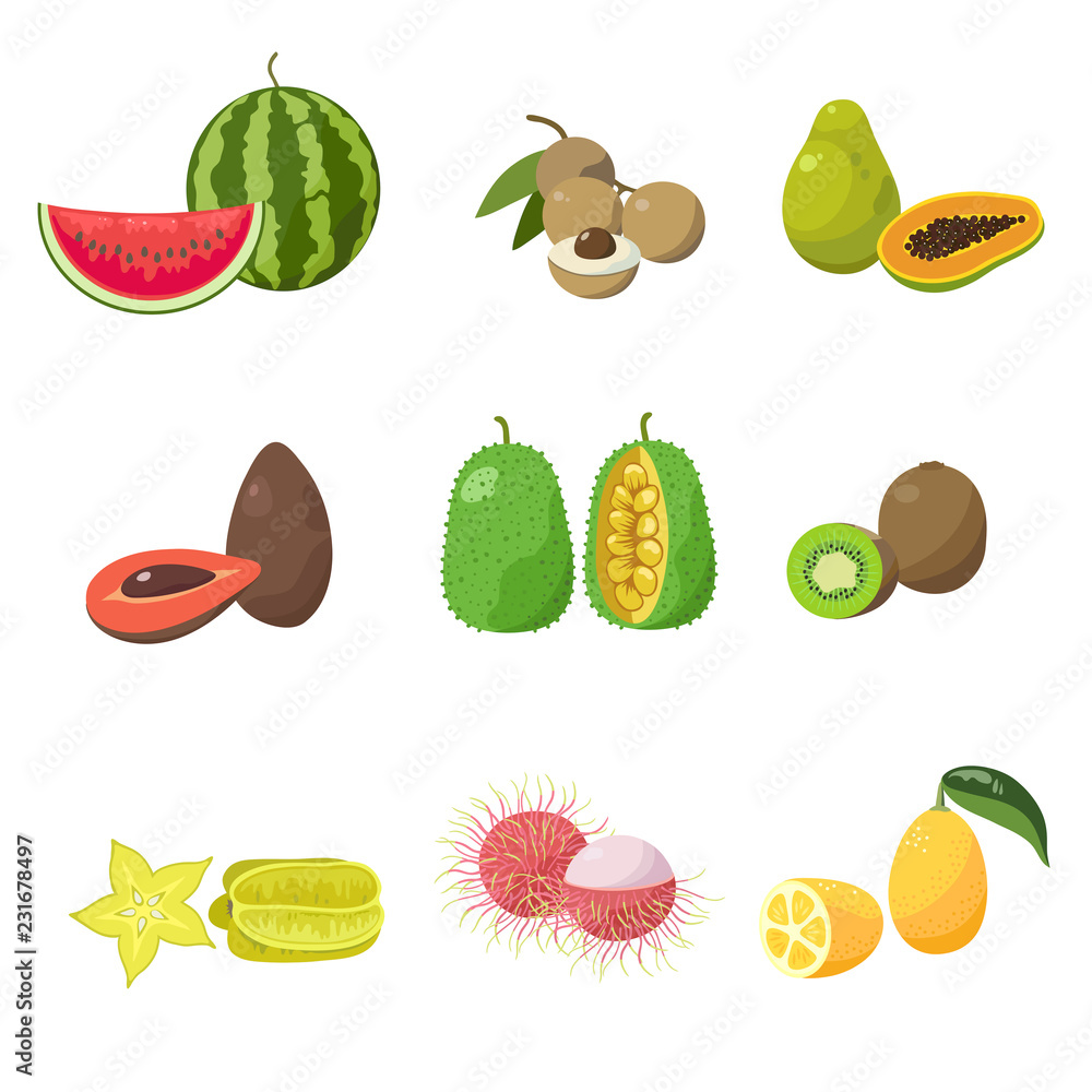 热带异国水果套装。各种异国水果，椰子，芒果，香蕉，鳄梨，猕猴桃，荔枝