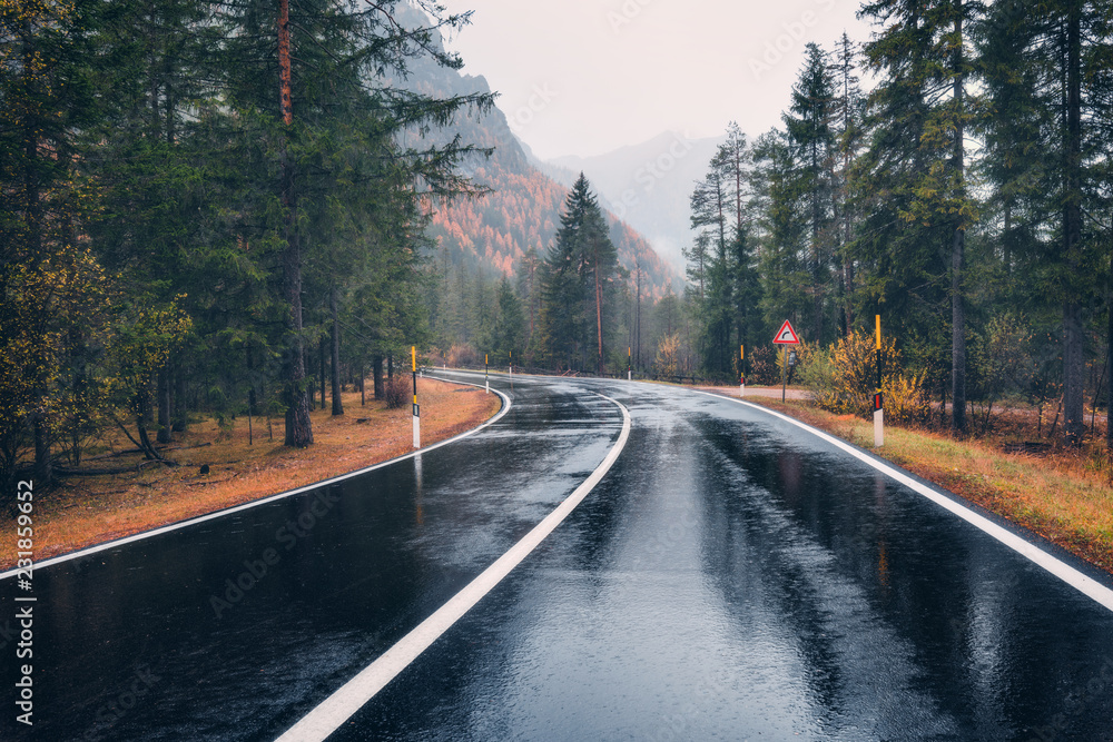Road in the autumn forest in rain. Perfect asphalt mountain road in overcast rainy day. Roadway with