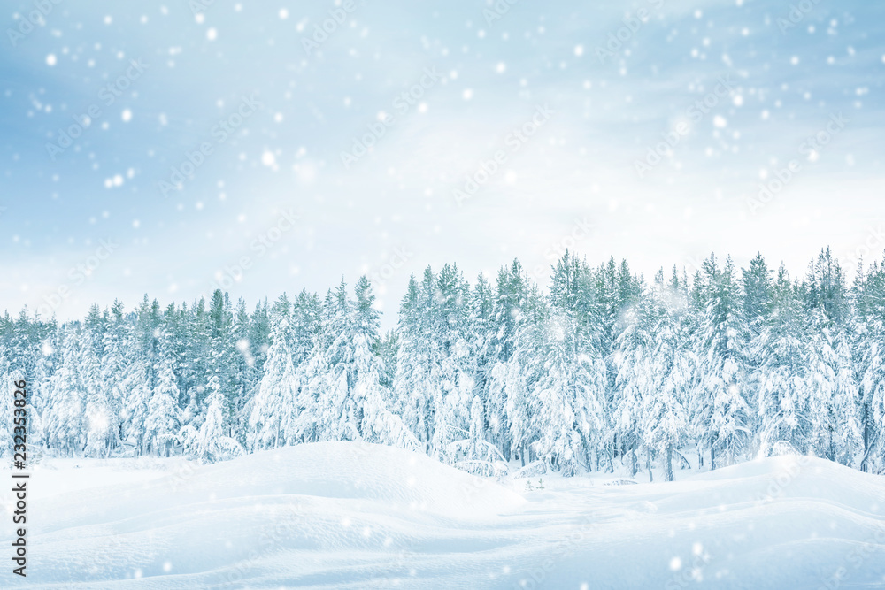 雪花纷飞的冬季背景，大雪纷飞的圣诞节背景，天空中的雪花