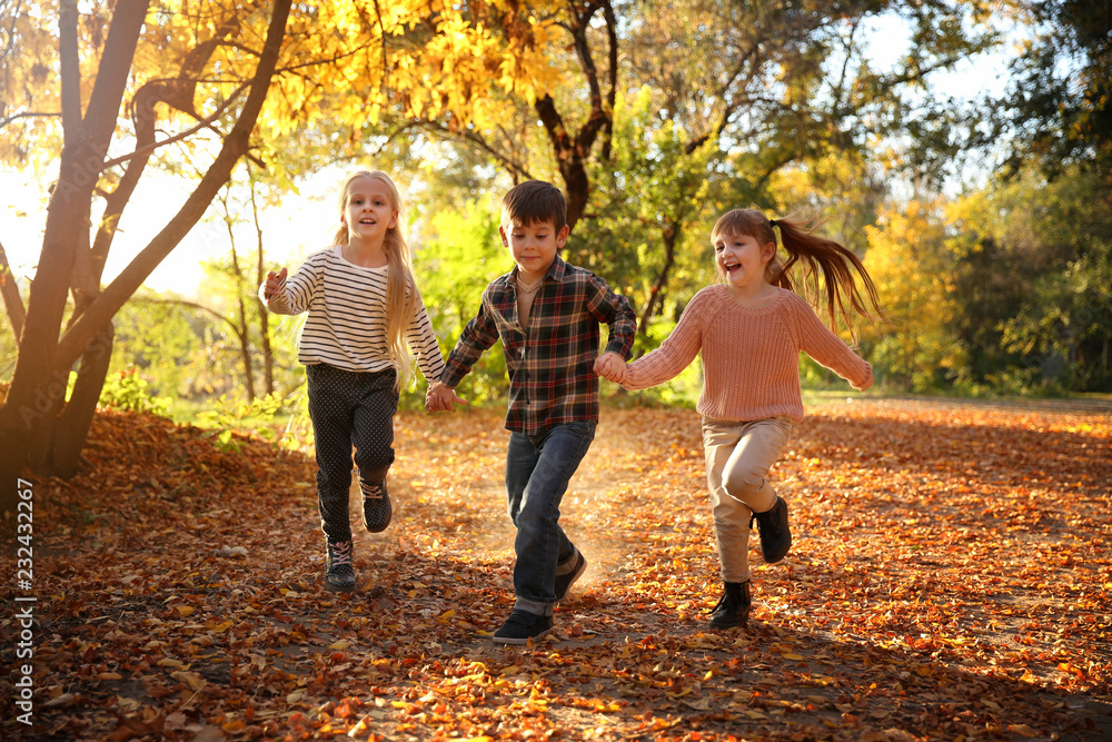 可爱的小孩在秋季公园玩得很开心