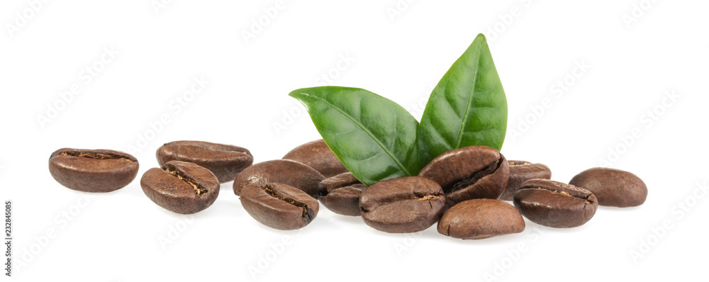 白底咖啡豆