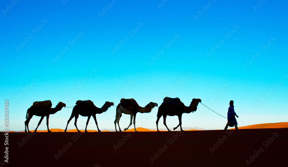 撒哈拉沙漠上的骆驼商队