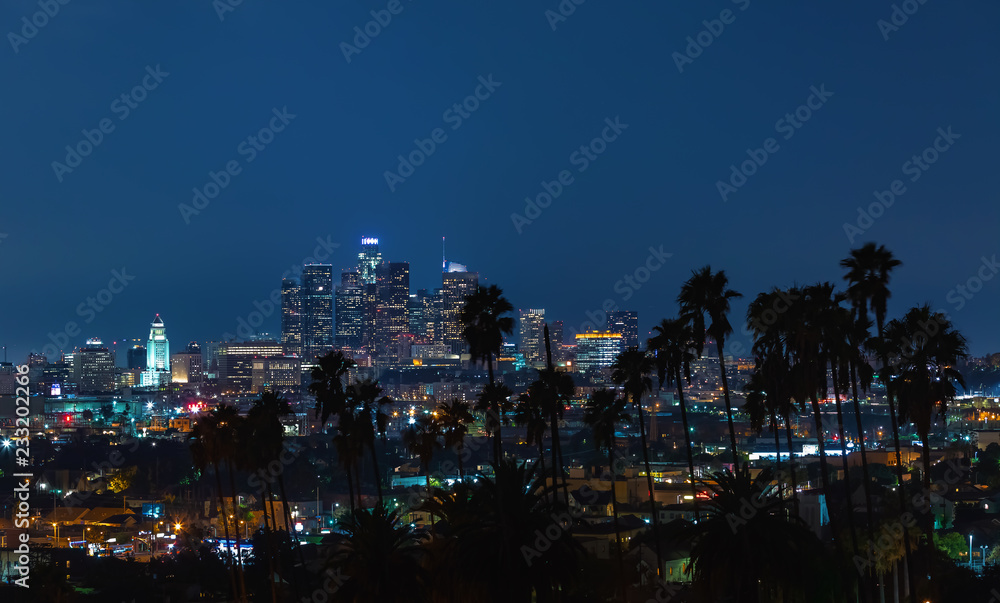 洛杉矶市中心天际线鸟瞰图，前景是棕榈树