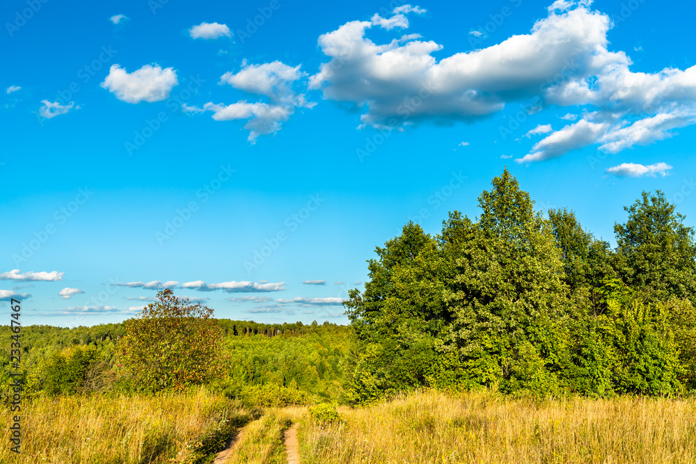 俄罗斯库尔斯克地区典型的乡村景观