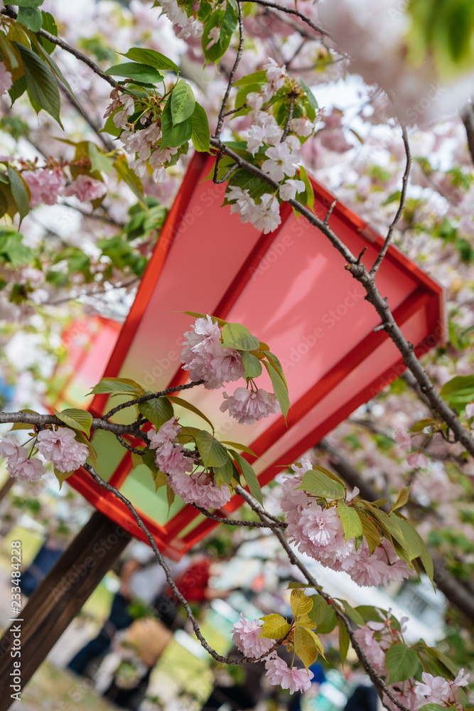 站在公园里的红色日本灯笼