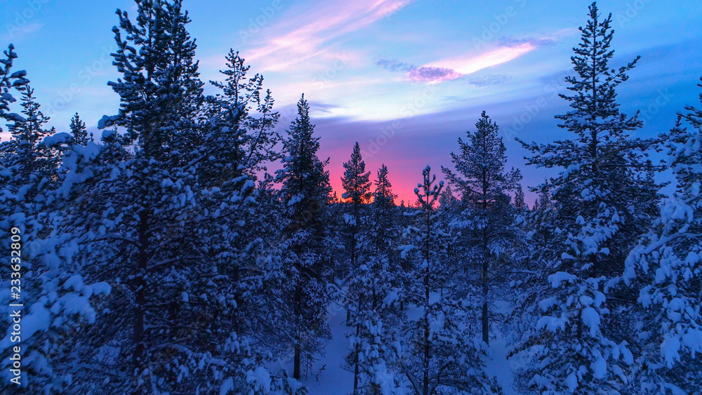 航空航天：在绚丽的冬季日落下，飞槽状的雪云杉森林树梢