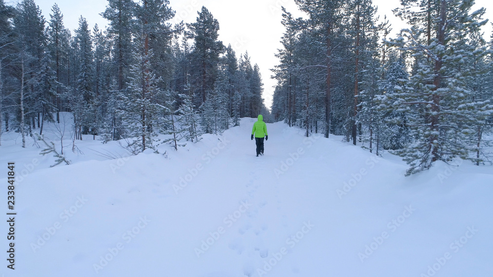 特写芬兰，一名女子在令人惊叹的冬季森林中涉水穿过雪地