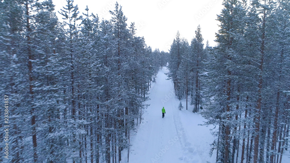 空中飞航：北方冬季，一名男子在雪地森林中行走