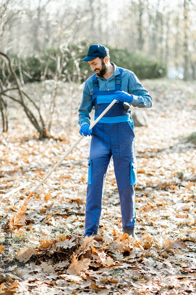 穿着蓝色制服的专业男性清扫工在秋季在花园里耙树叶