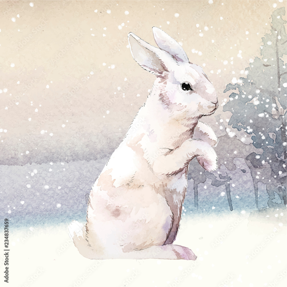 水彩矢量绘制的冬季仙境中的野生白兔