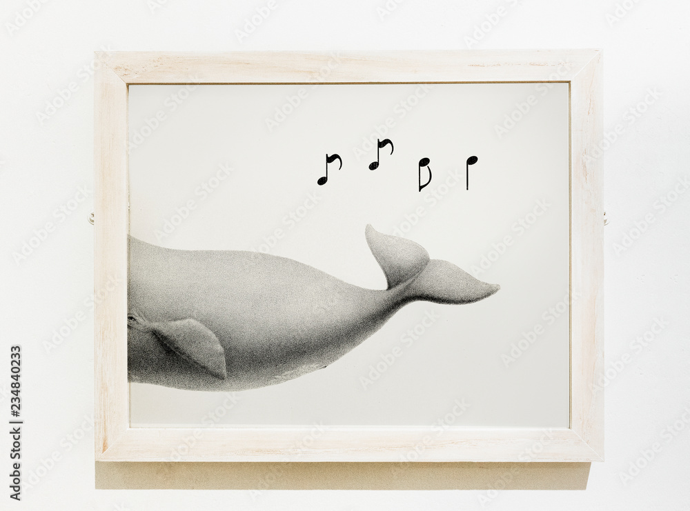鲸鱼唱歌的装帧艺术作品