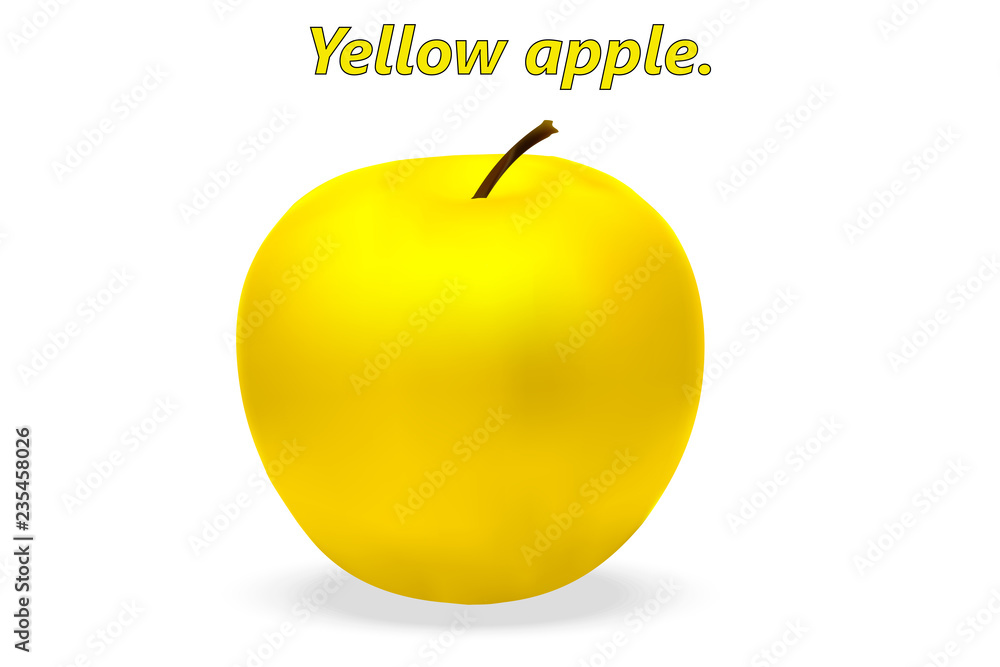 逼真的3d黄色苹果，白色背景上有逼真的阴影。矢量插图。