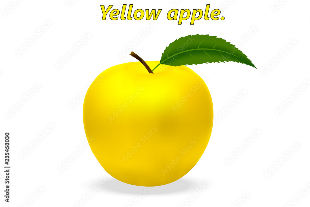 逼真的3d黄色苹果，白色背景上有叶子和逼真的阴影。矢量插图。