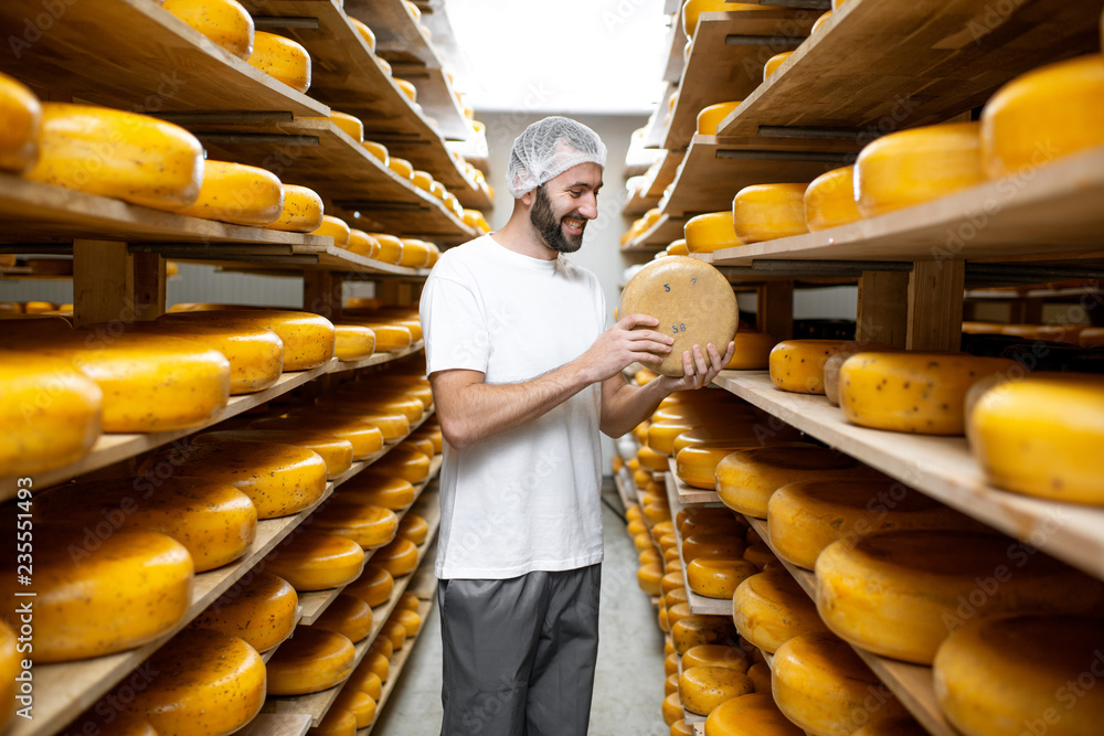 工人在仓库检查奶酪质量，货架上摆满了奶酪轮。