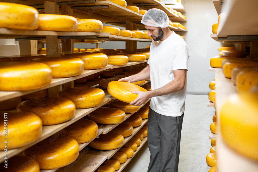工人在仓库检查奶酪质量，货架上摆满了奶酪轮。