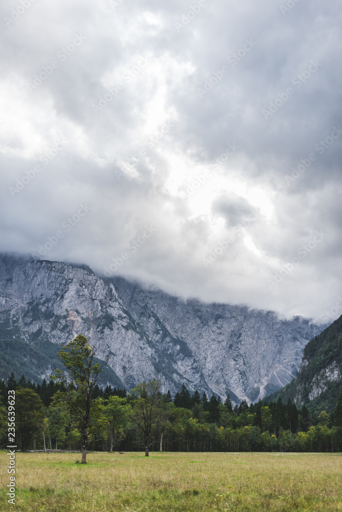 斯洛文尼亚洛加尔著名的高山山谷，Kamnik Savinja阿尔卑斯山。高山景观，高高的岩壁。