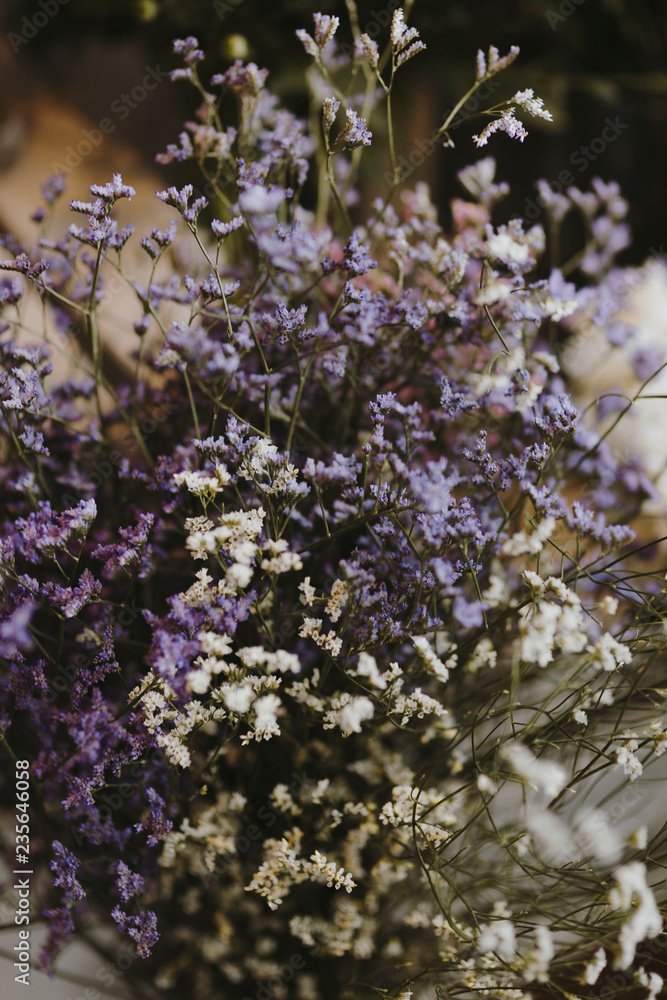白色和紫色caspia花的特写