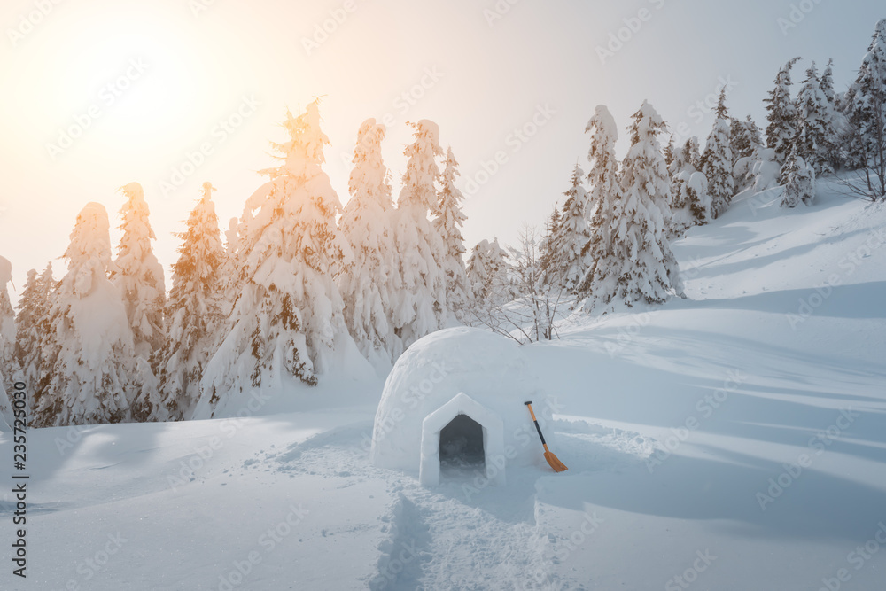 喀尔巴阡山脉冬季的真正雪屋。背景是白雪覆盖的冷杉