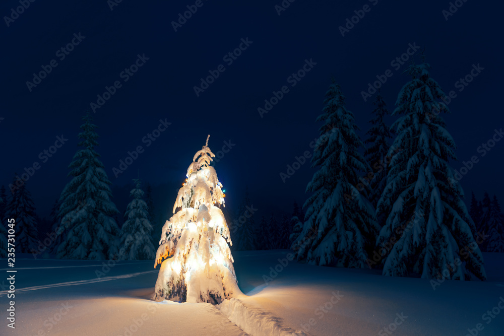 冬季山区的圣诞树、雪和灯光的假日景观。新年庆祝活动