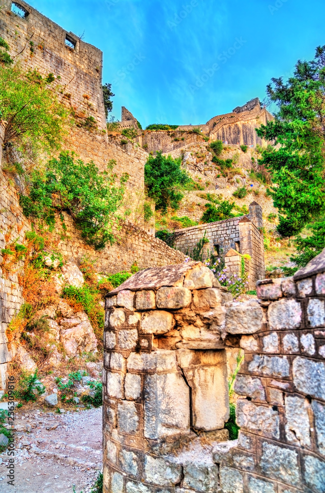 黑山科托尔的圣乔瓦尼城堡-巴尔干半岛，欧洲