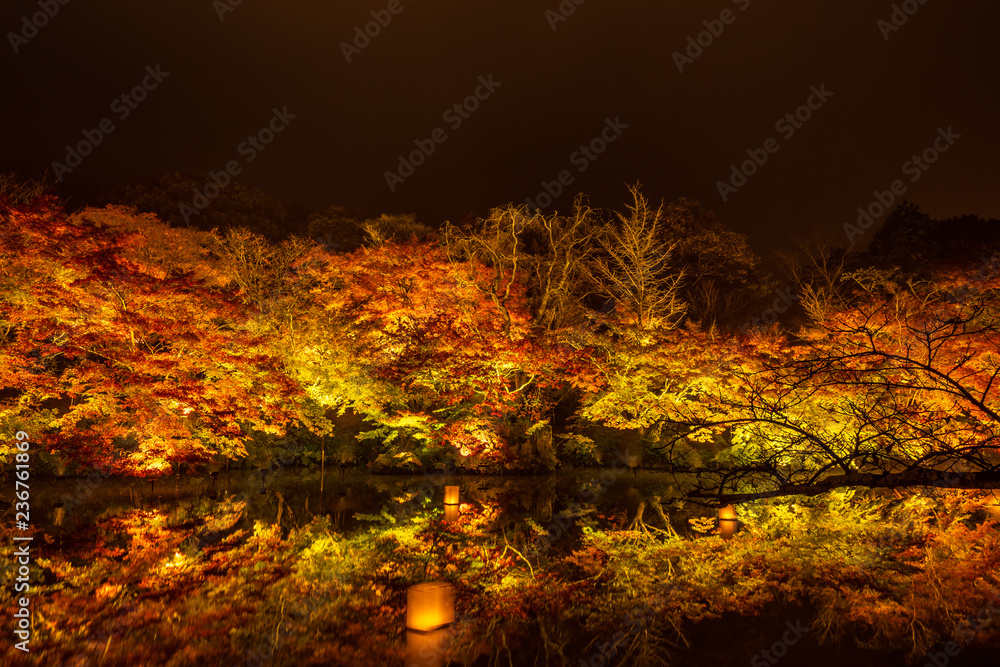 美丽的日本花园，名为Mifuneyama Rakuen，秋天的夜景，枫叶和湖泊