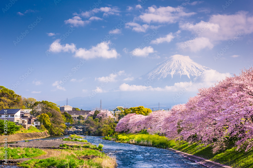 富士山，日本春天的风景。