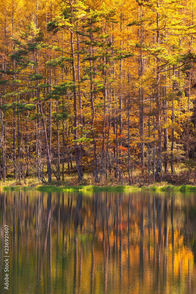 秋天的三坂池。位于日本长野县赤野市
