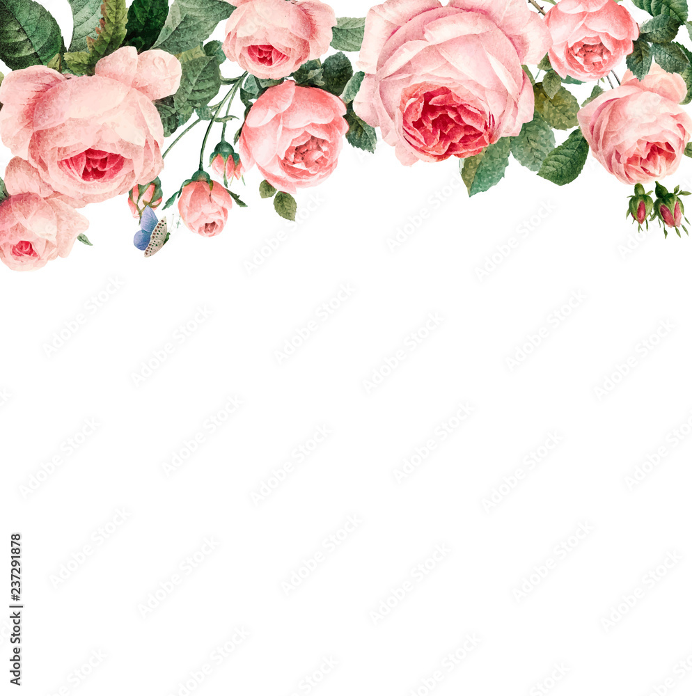 白色背景矢量上的手绘粉色玫瑰框架