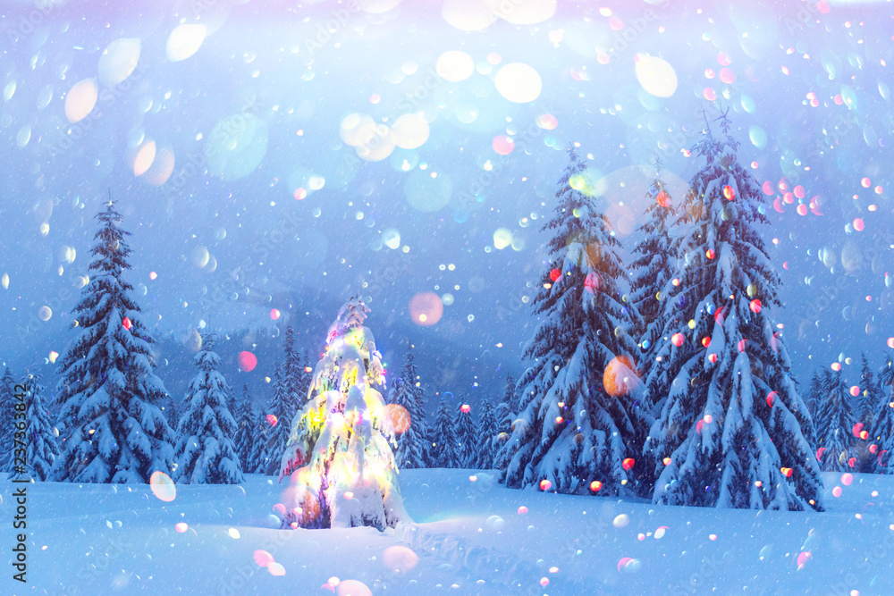 冬季山区的圣诞树、雪和灯光的假日景观。新年庆祝pos