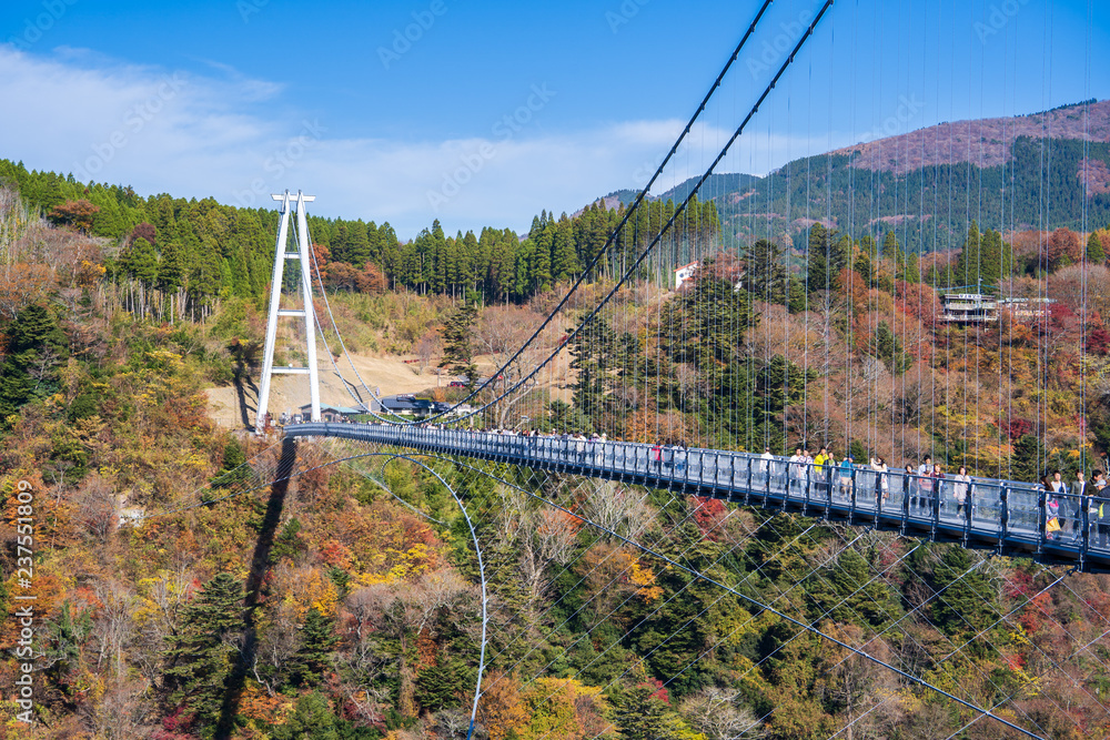 2018年11月11日，日本大田市古居市：Kokonoe Yume悬索桥（大隅桥），最高
