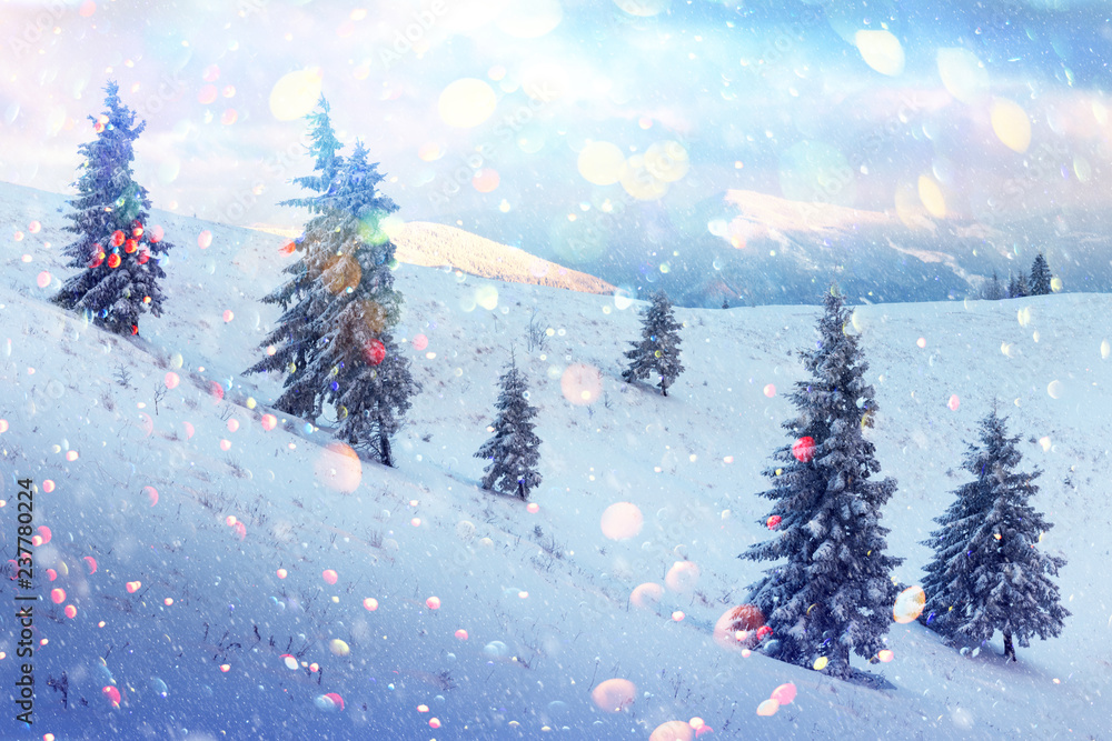 高山上白雪皑皑的树木构成的奇妙冬季景观。自由度散焦光后处理效果