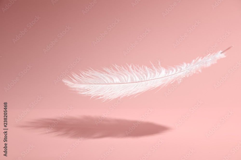 粉红色背景上的羽毛