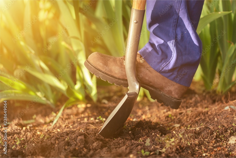 Garden dig soil agriculture shovel image worker