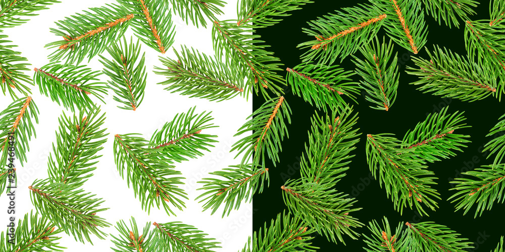 冷杉树枝无缝图案，松枝，白色和绿色背景上隔离的圣诞针叶树