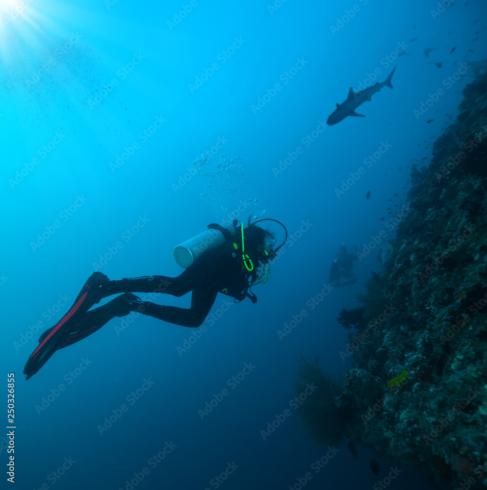 年轻男女水肺潜水员探索