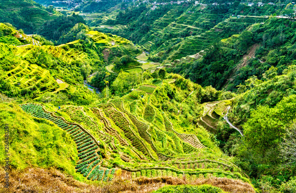 Banaue Rice Terraces-吕宋北部，联合国教科文组织菲律宾世界遗产。