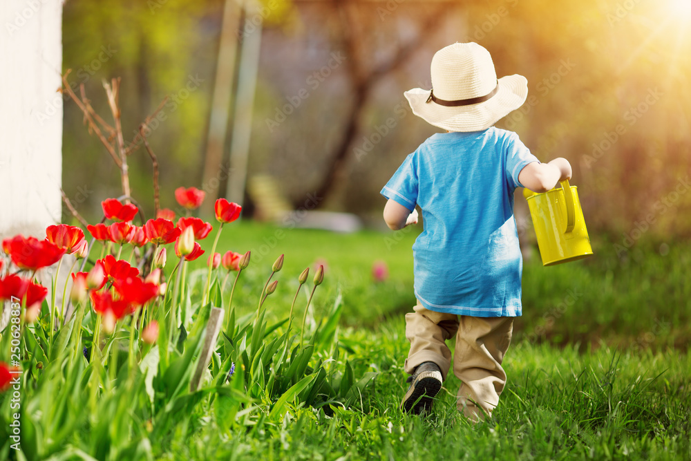 Little child walking near tulips on the flower bed in beautiful spring day