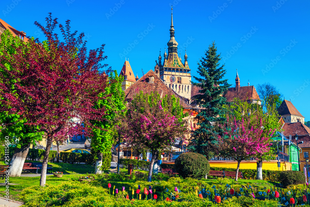 Ornamental park with colorful flowers in city center, Sighisoara, Romania