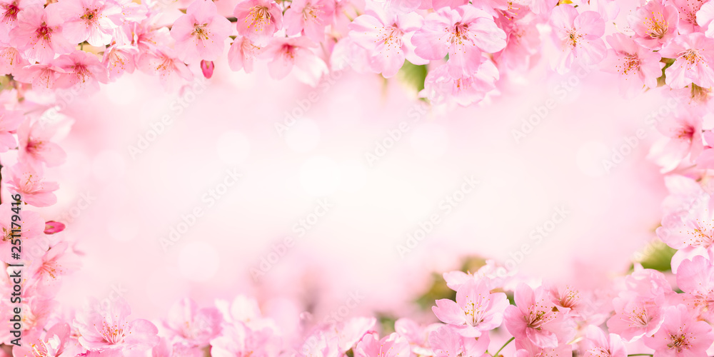盛开的树粉色花朵框架