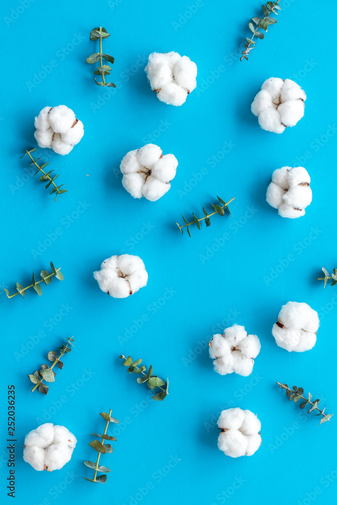 蓝色桌面上的花朵背景，绿色桉树树枝和干燥的棉花花朵