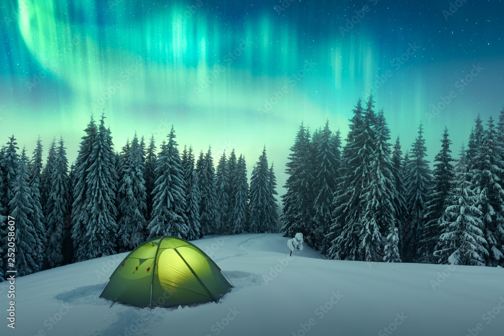 北极光。冬季森林中的北极光。极地灯光和星星的天空。夜晚的冬季蓝