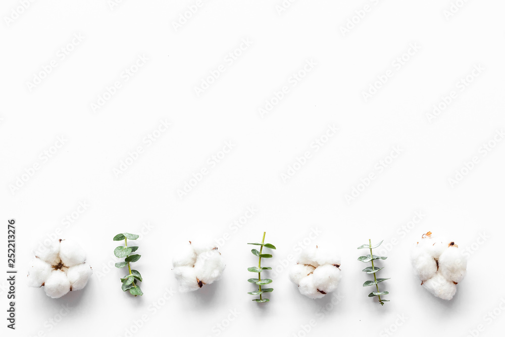 Flowers border with green eucalyptus branches and dry cotton on white background top view copy space