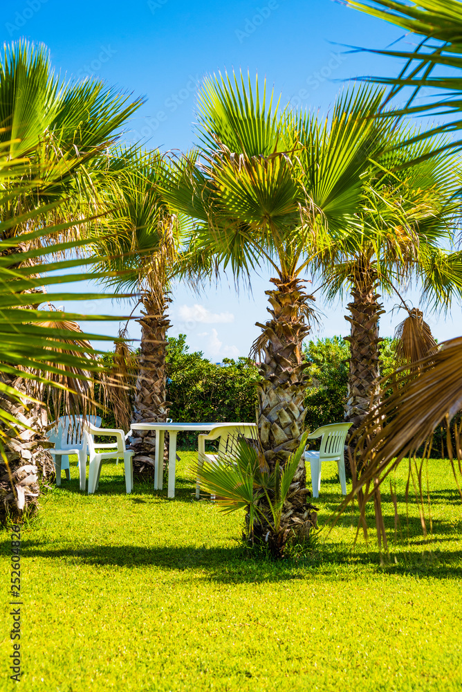 美丽的花园，有棕榈树和舒适的扶手椅，游客可以用来喝一杯放松的开胃酒