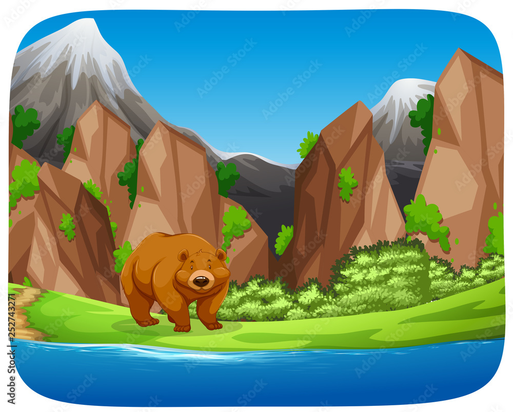 Brown bear in moutain scene