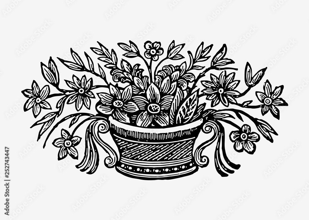 Vintage potted flowers illustration
