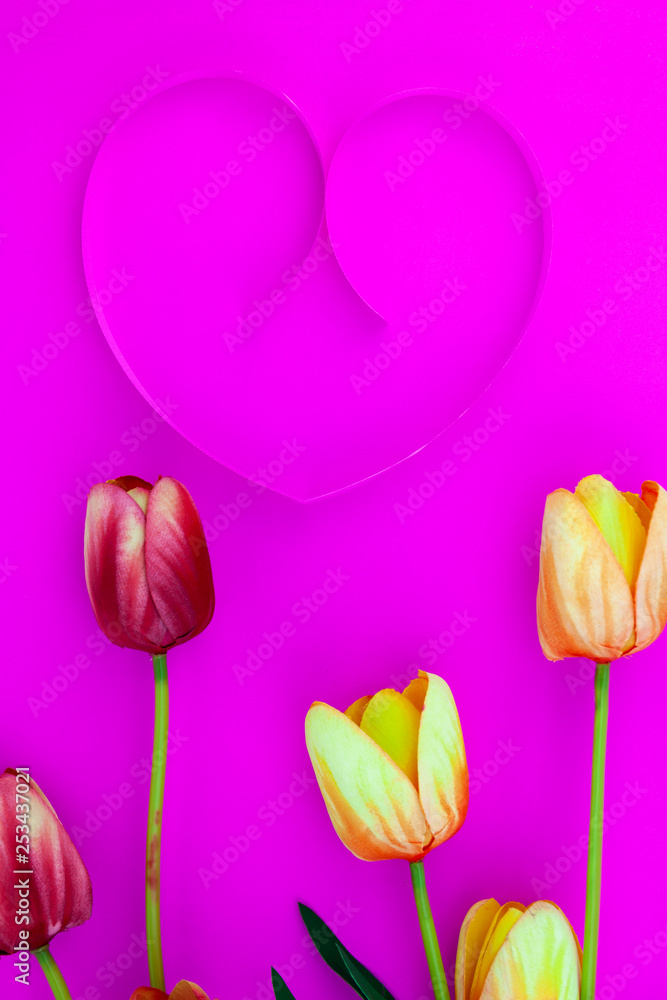粉红色背景的多色郁金香的春花，节日贺卡的平面图
