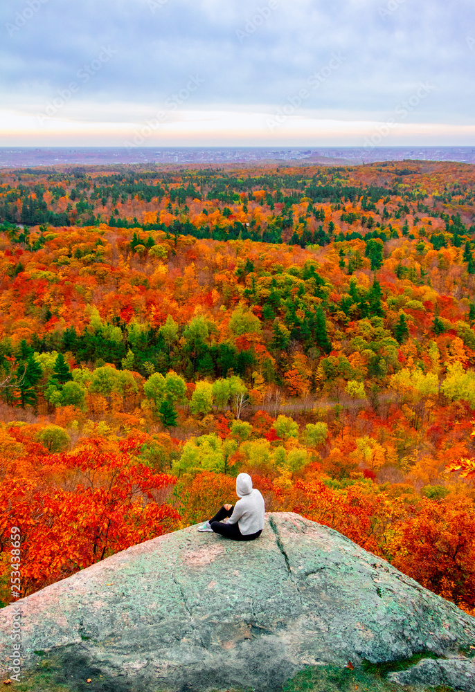 Gatineau Park forest in fall 